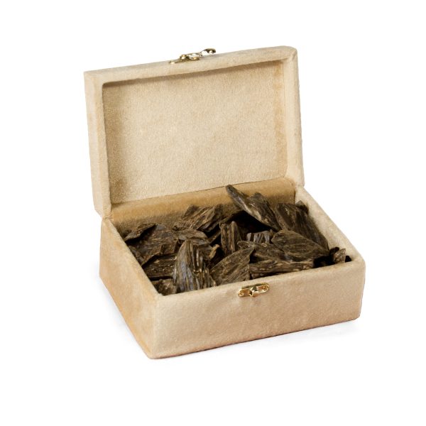 FXX01223 final 600x600