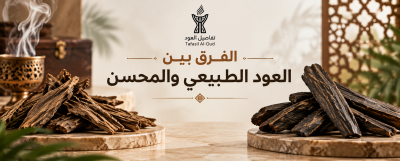 الفرق بين العود الطبيعي والمحسن